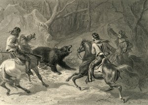 „Native Californians Lassoing a Bear“, 1874.