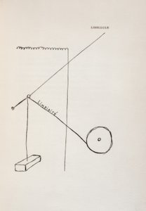 Vážka od Francis Picabia