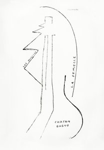 Poemes et Dessins de la Fille nee sans Mere, č. 23, vydalo nakladatelství Imprimeries Reunies, Lausanne. od Francis Picabia