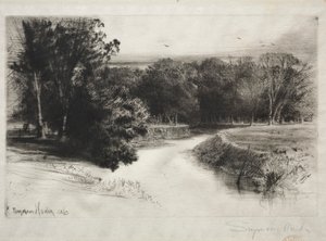 Západ slunce v Irsku, 1863. od Francis Seymour Haden