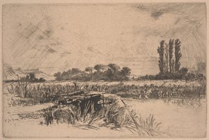 Vodní louka (lept a suchá jehla) od Francis Seymour Haden