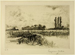 Vodní louka od Francis Seymour Haden