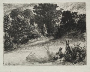 Hřebenové dno od Francis Seymour Haden