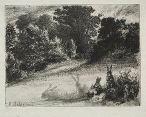Combe Bottom. od Francis Seymour Haden