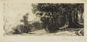 Brzy ráno, Richmond Park od Francis Seymour Haden