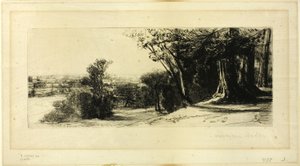 Brzy ráno, Richmond Park od Francis Seymour Haden