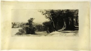 Brzy ráno, Richmond Park od Francis Seymour Haden