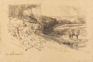 Encombe Woods (č. 1) od Francis Seymour Haden