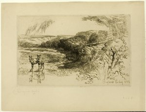 Encombe Woods, č. II od Francis Seymour Haden