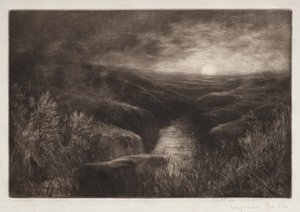 Haunt of the Mosquito. od Francis Seymour Haden
