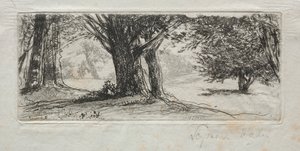 Holly Field od Francis Seymour Haden