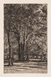 Kensington Gardens, č. 2 (Větší talíř) od Francis Seymour Haden