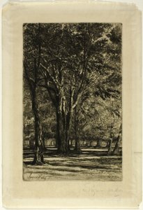 Kensington Gardens, č. II (velký talíř) od Francis Seymour Haden