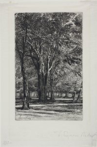 Kensington Gardens, č. II (velký talíř) od Francis Seymour Haden