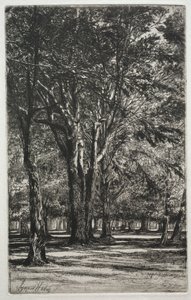 Kensington Gardens The Large Plate, 1860. od Francis Seymour Haden