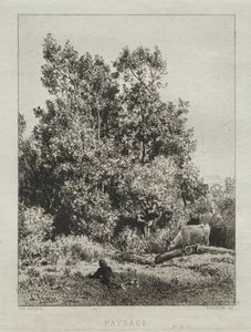 Krajina od Francis Seymour Haden