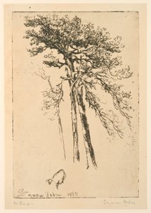 Skotské jedle od Francis Seymour Haden