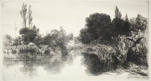 Shere Mill Pond (Větší talíř) od Francis Seymour Haden
