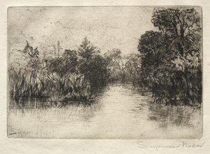 Shere Mill Pond Malá Studie. od Francis Seymour Haden