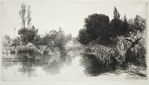 Shere Mill Pond, č. 11 (The Large Plate) od Francis Seymour Haden