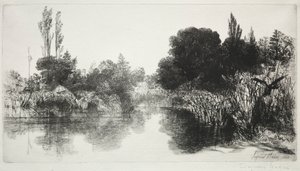 Shere Mill Pond, č. 11 The Large Plate, 1860 a později. od Francis Seymour Haden
