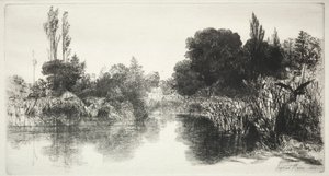Shere Mill Pond The Larger Plate, 1860. od Francis Seymour Haden