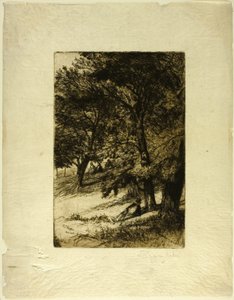 Pod střechou... od Francis Seymour Haden
