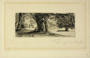 Cesmíná pole od Francis Seymour Haden