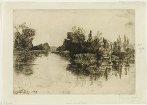 Ostrov, Boylesova farma od Francis Seymour Haden