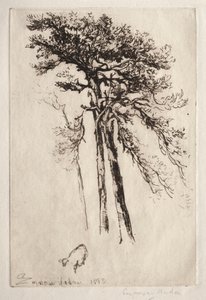 Nejnovější strom od Francis Seymour Haden