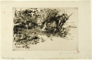 Vrby od Francis Seymour Haden