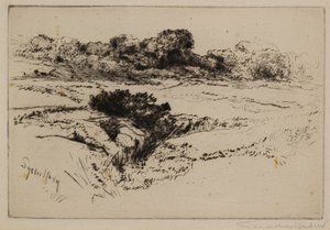 Větrný kopec č.2 od Francis Seymour Haden