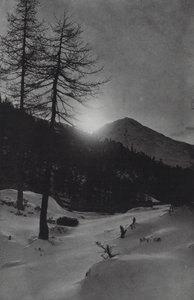 Alpy: Nedaleko Obergurglu (černobílá fotografie)