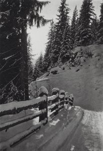 Alpy: Zimní ráno, poblíž St Anton (č/b foto)