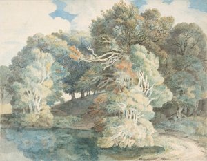 Stromy u jezera, Peamore Park, poblíž Exeter, Devon, 1790-1810. od Francis Towne