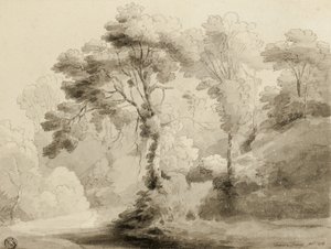 Zalesněná krajina, 1774 od Francis Towne