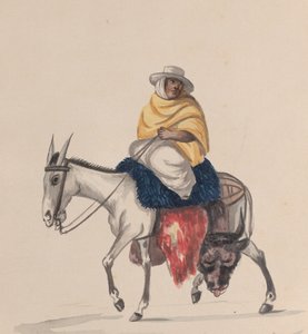 Řezník jedoucí na oslu, ze skupiny kreseb zobrazujících peruánský kroj, ca. 1848.