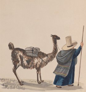Žena chodící s lamou, ze skupiny kreseb zobrazujících peruánský kostým, ca. 1848. od Francisco