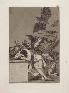 Sen o důvodu produkuje monstra. (The Sleep of Reason produkuje monstra.), pl. 43 ze série Rozmary od Francisco de Goya