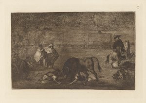 The Dogs Let Loose on the Bull, deska C z La tauromaquia (třetí vydání) od Francisco de Goya