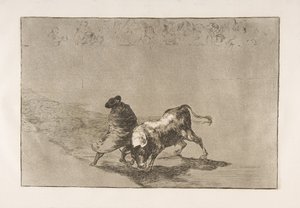 Deska 14 z Tauromaquia: Velmi zručný Falcesův student, zabalený do pláště..., 1816. od Francisco de Goya