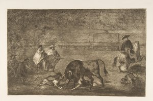 Deska C: Psi se pustili na býka, cca. 1816. od Francisco de Goya