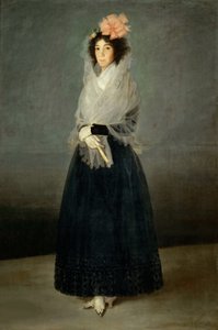Portrét hraběnky del Carpio, Marquesa de la Solana 1757-1795, cca 1794. od Francisco Goya de