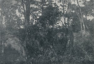 Indiánské kajuty, 1895