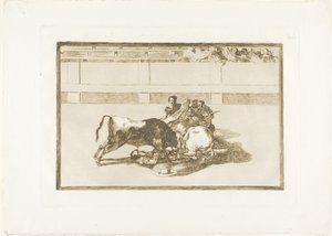 Picador is Unhorsed and Falls under the Bull, deska 26 z The Art of Bullfighting od Francisco Jose de Goya y Lucientes