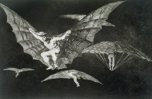 Způsob létání, deska 13 "Přísloví" od Francisco Jose de Goya y Lucientes