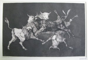 Bláznovo bláznovství od Francisco Jose de Goya y Lucientes