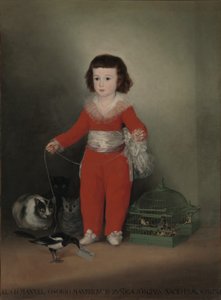 Don Manuel Osorio Manrique de Zuniga (1784-92) od Francisco de Goya