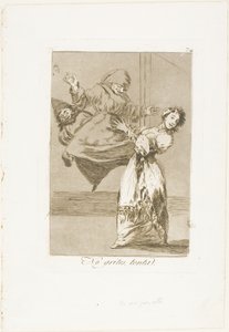 Nekřič, hlupáku, talíř 74 od Los Caprichos od Francisco Jose de Goya y Lucientes