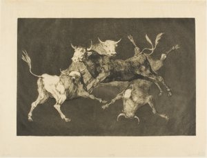 Fool’s Folly, od Disparates od Francisco Jose de Goya y Lucientes